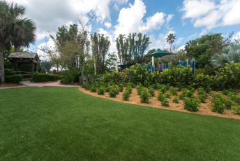 Tropical Disney Resort by ForeverLawn Central Florida