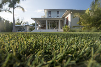 Incredible Residential Landscape by ForeverLawn of Tampa Bay