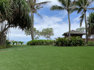 Hawaiian Beachfront Property by ForeverLawn Oahu
