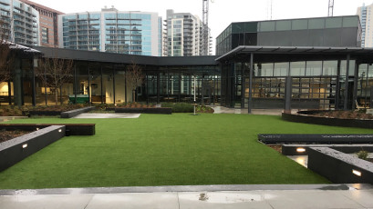 NCR World Headquarters Rooftop by ForeverLawn North Central Georgia