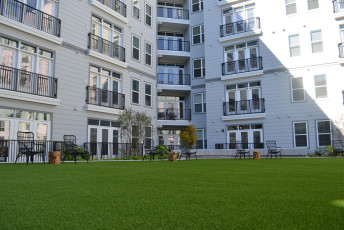 Lush DuPont ForeverLawn Select LX by ForeverLawn of the Carolinas