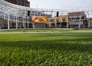 Centennial Plaza by ForeverLawn NEO