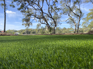 DuPont ForeverLawn Select HD by ForeverLawn Charleston