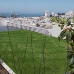 Stunning rooftop in the Pacific Heights area of San Francisco
