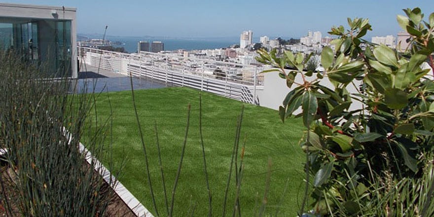 Stunning rooftop in the Pacific Heights area of San Francisco
