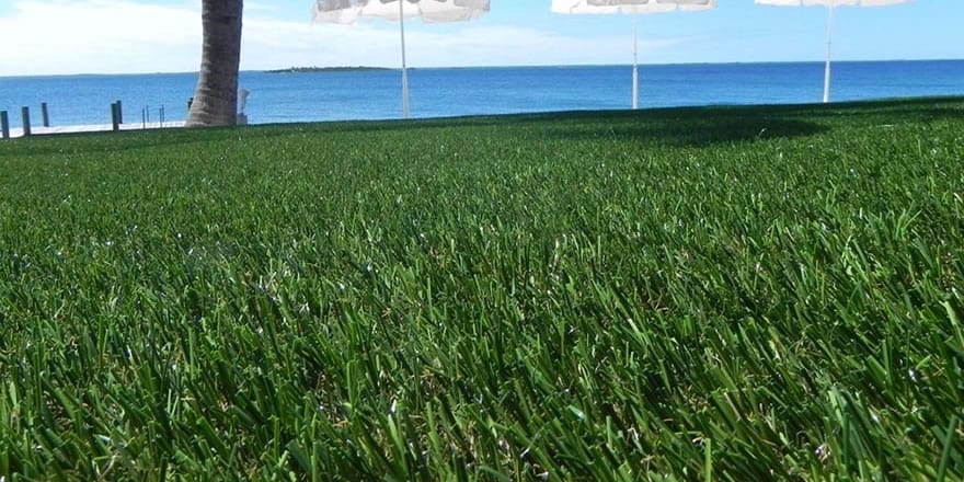 DuPont™ ForeverLawn® Select Synthetic Grass at beachfront home