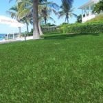 DuPont™ ForeverLawn® Select Synthetic Grass looking out over ocean
