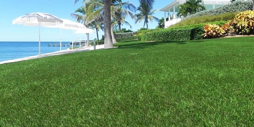 DuPont™ ForeverLawn® Select Synthetic Grass looking out over ocean