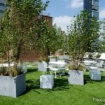ForeverLawnSouthwest install at a residential development in Midtown Manhattan
