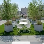 ForeverLawnSouthwest install at a residential development in Midtown Manhattan