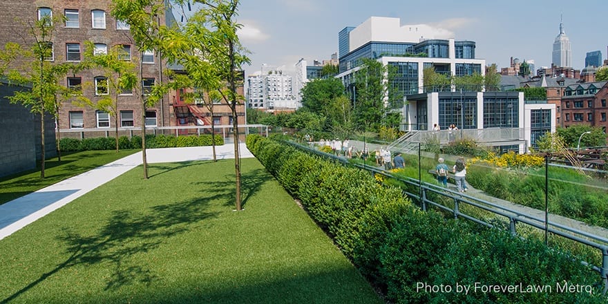 Manhattan install - artificial grass landscaping