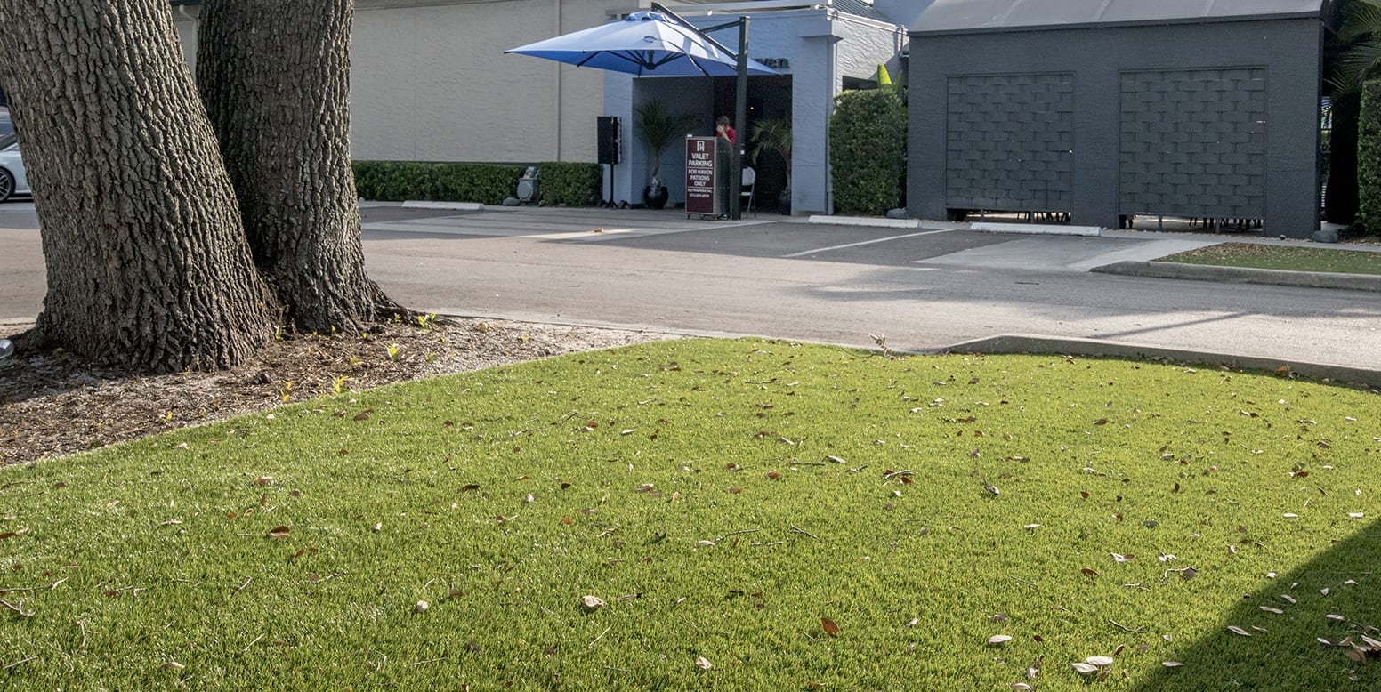 ForeverLawn artificial grass installation at Haven Restaurant in Tampa