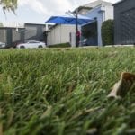 ForeverLawn artificial grass installation at Haven Restaurant in Tampa