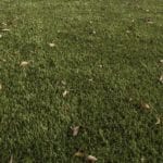 ForeverLawn artificial grass installation at Haven Restaurant in Tampa