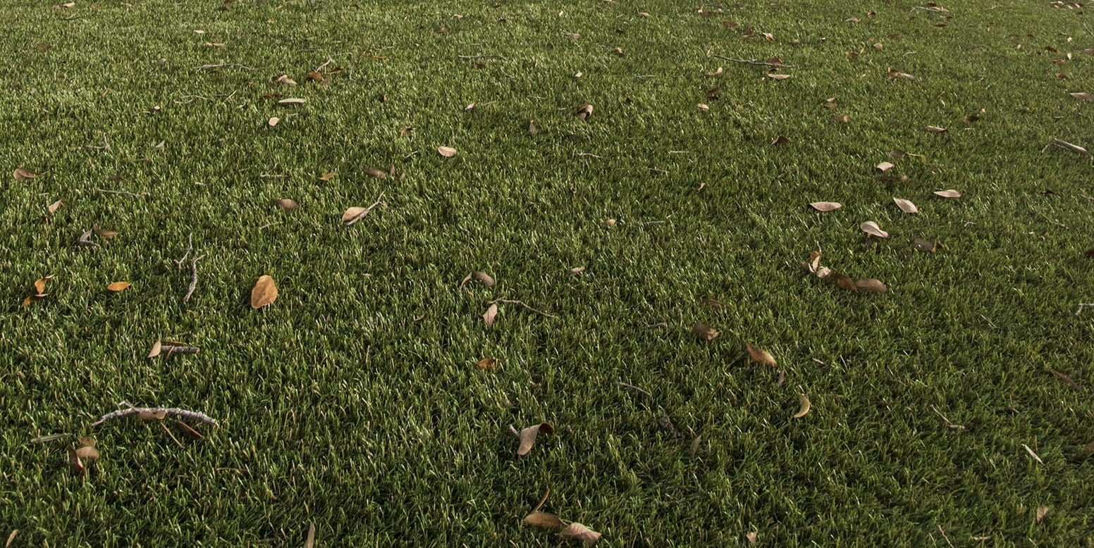 ForeverLawn artificial grass installation at Haven Restaurant in Tampa