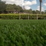 ForeverLawn artificial grass installation at Disney Polynesian Village Resort