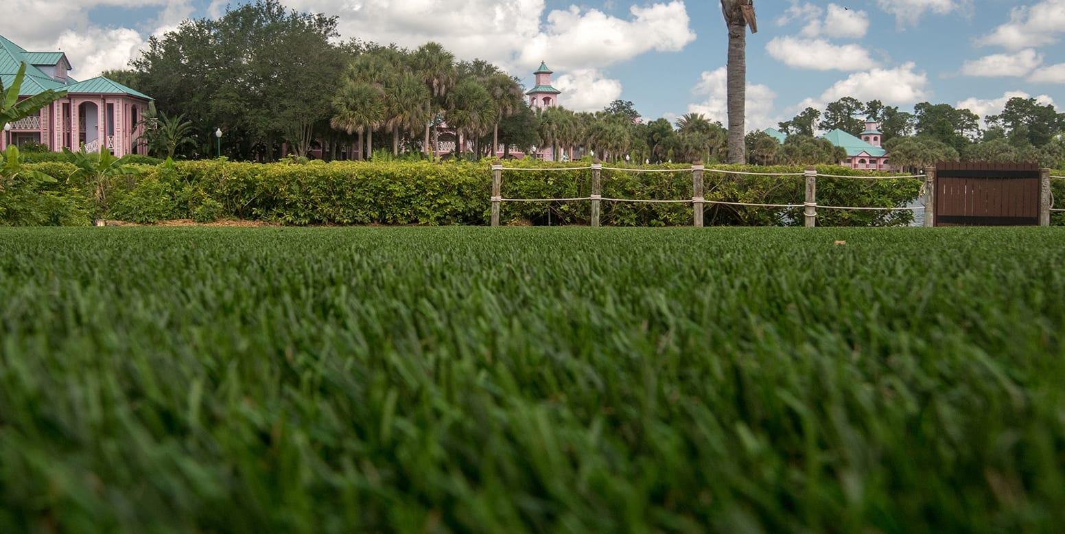 ForeverLawn artificial grass installation at Disney Polynesian Village Resort