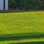 Grayton Beach, Florida home featuring DuPont™ ForeverLawn® Select EL