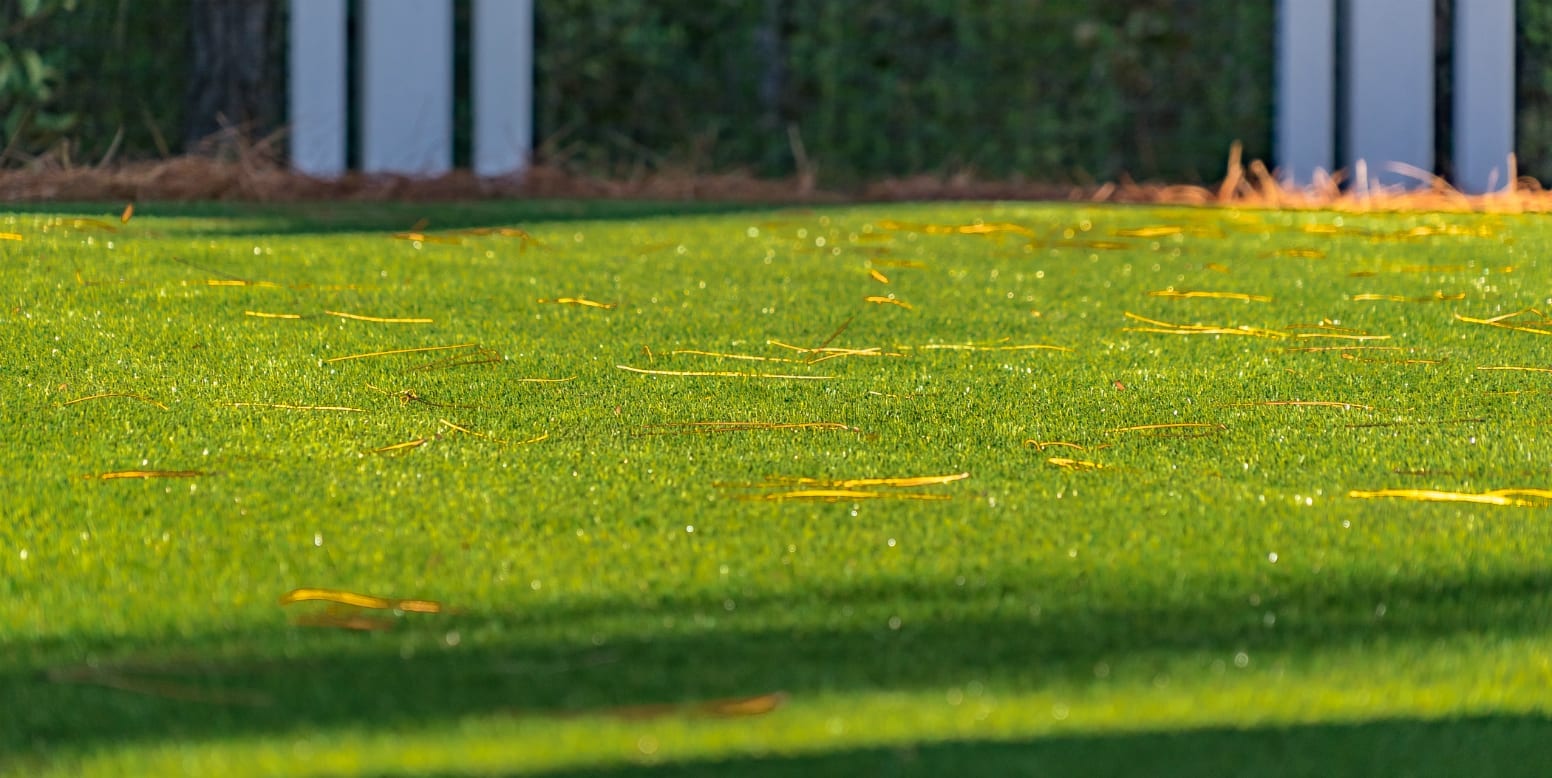 Grayton Beach, Florida home featuring DuPont™ ForeverLawn® Select EL