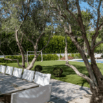 Jessica Capshaw and Christopher Gavigan’s backyard entertainment space featuring ForeverLawn Fusion