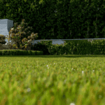 Jessica Capshaw and Christopher Gavigan’s backyard featuring ForeverLawn Fusion