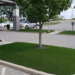 Medians covered in DuPont™ ForeverLawn® Select VR artificial grass at Hampton Inn & Suites Youngstown-Canfield