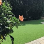 Residential backyard in Youngstown, Ohio, featuring DuPont™ ForeverLawn® Select LX