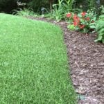 Residential backyard in Youngstown, Ohio, featuring DuPont™ ForeverLawn® Select LX