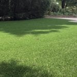 Residential backyard in Youngstown, Ohio, featuring DuPont™ ForeverLawn® Select LX