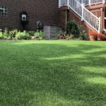 Residential backyard in Youngstown, Ohio, featuring DuPont™ ForeverLawn® Select LX