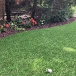 Residential backyard in Youngstown, Ohio, featuring DuPont™ ForeverLawn® Select LX
