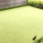 Residential outdoor entertainment space in Cranberry, PA, featuring ForeverLawn artificial grass