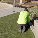 Centennial Plaza in Downtown Canton featuring ForeverLawn Landscape synthetic grass