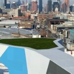 Vital Climbing Gym in Brooklyn, New York, featuring ForeverLawn synthetic grass